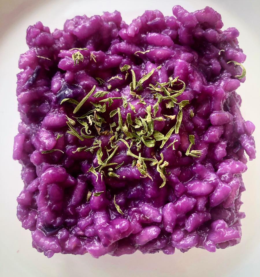 Risotto Al Cavolo Cappuccio Viola Sara Emily Boldrini Biologa Nutrizionista